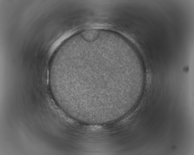 X0000115071317200912081139