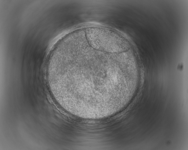 X0000115071318200912081139