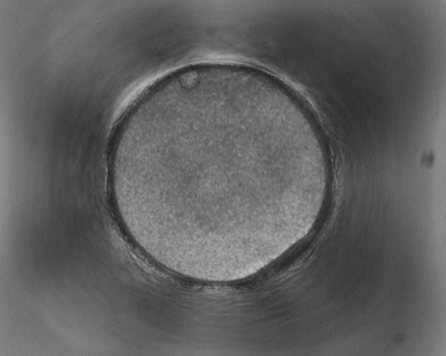 X0000115071319200912081139