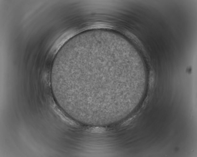 X0000115071321200912081139