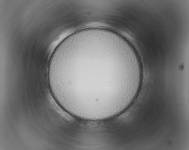 X0000115071322200912081139