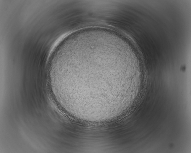 X0000115071323200912081139