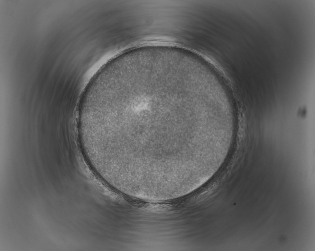 X0000115071325200912081139