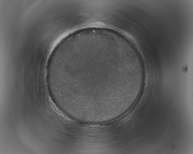 X0000115071326200912081139