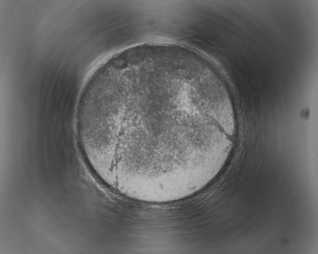 X0000115071327200912081139