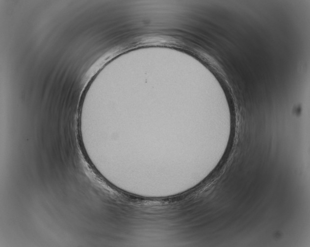 X0000115071330200912081139