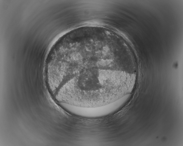 X0000115071331200912081139