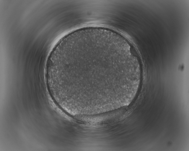 X0000115071334200912081139