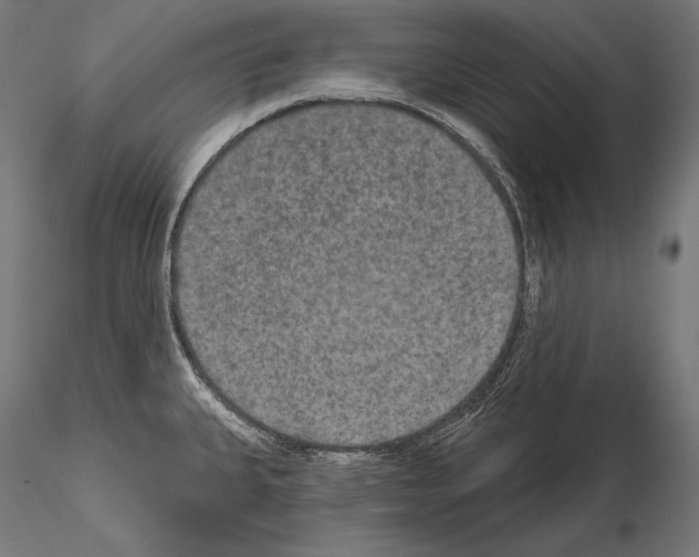 X0000115071335200912081139