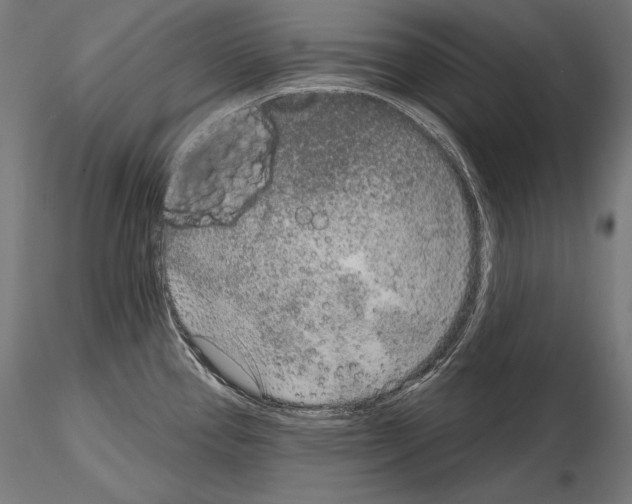 X0000115071337200912081139