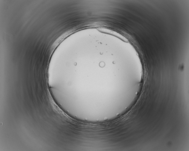 X0000115071338200912081139
