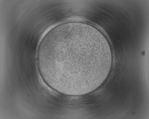 X0000115071339200912081139
