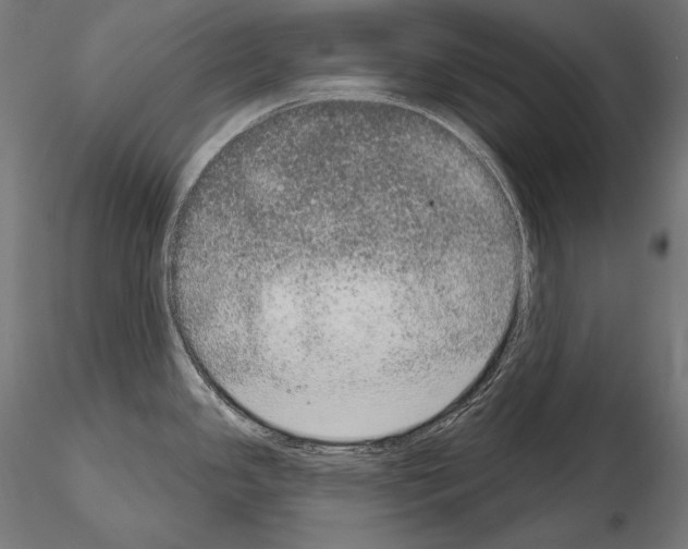 X0000115071341200912081139
