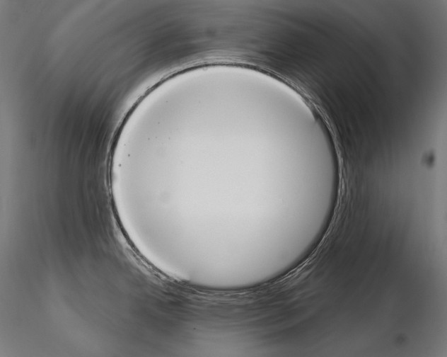 X0000115071342200912081139