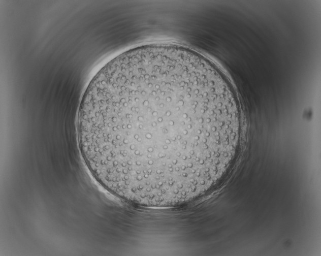 X0000115071343200912081139