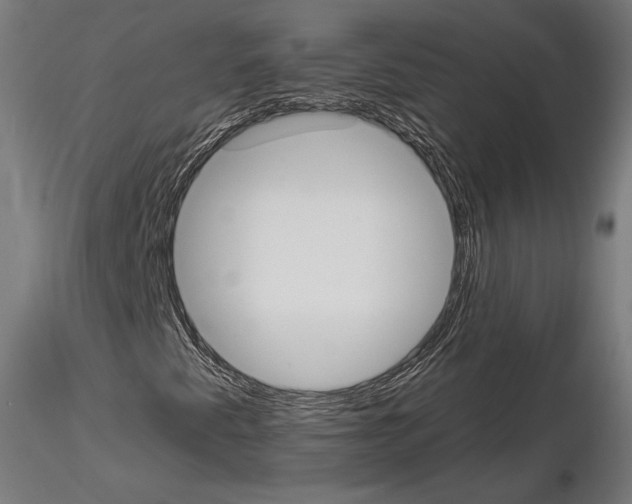 X0000115071345200912081138