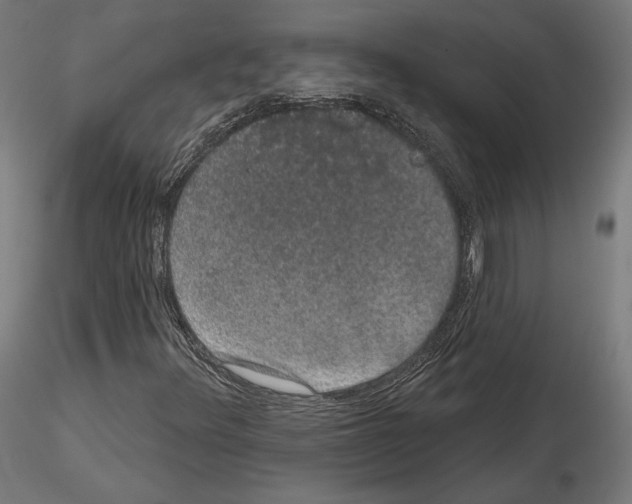 X0000115071348200912081138