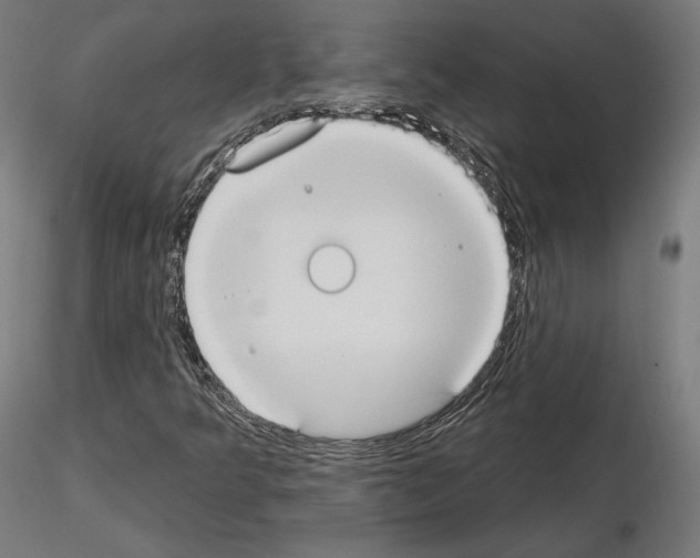 X0000115071349200912081138