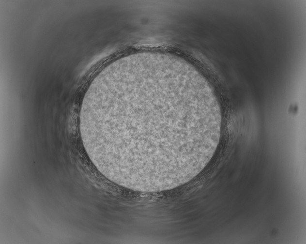X0000115071350200912081138