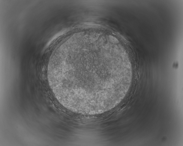 X0000115071351200912081138