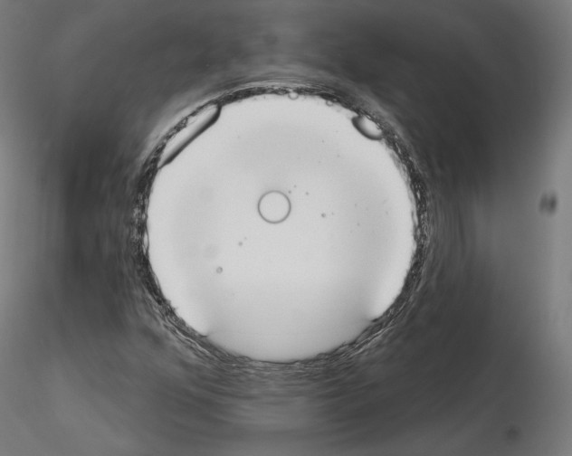 X0000115071352200912081138