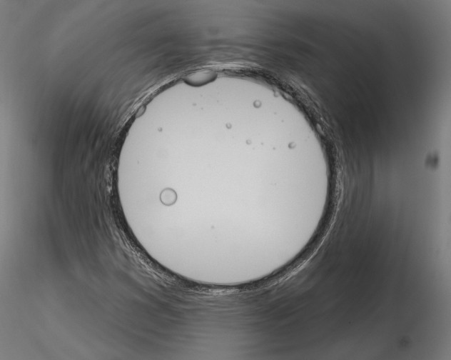 X0000115071353200912081138