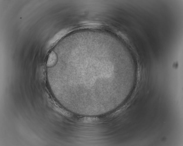 X0000115071354200912081138