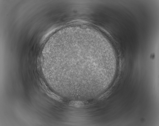 X0000115071355200912081138
