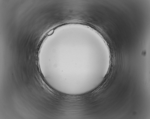 X0000115071356200912081138