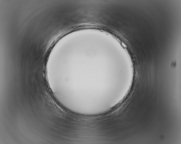 X0000115071357200912081138