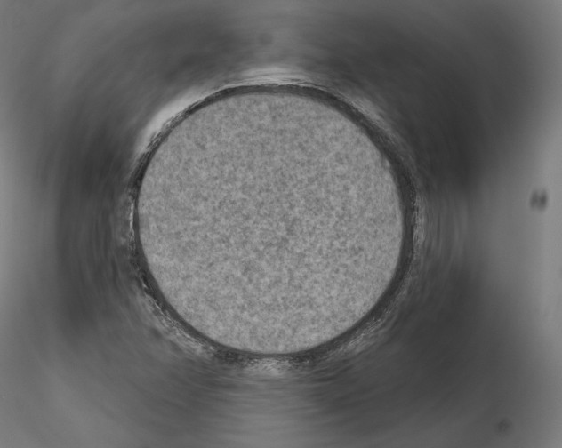 X0000115071358200912081138