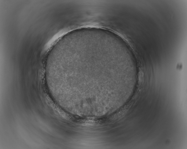 X0000115071359200912081138