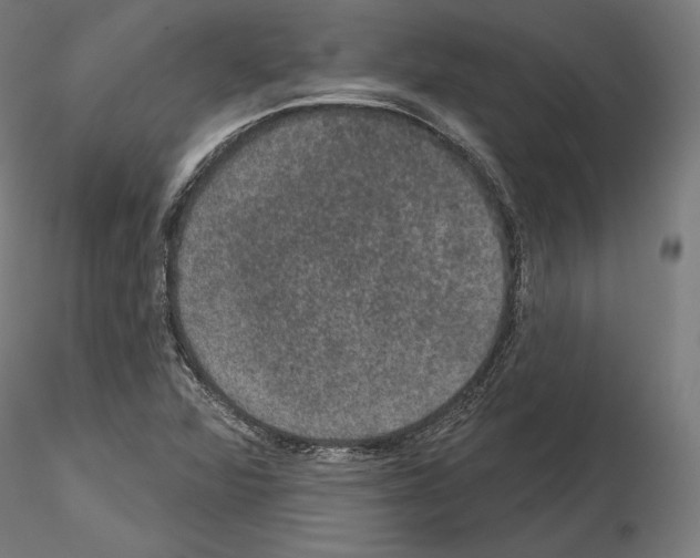 X0000115071360200912081138
