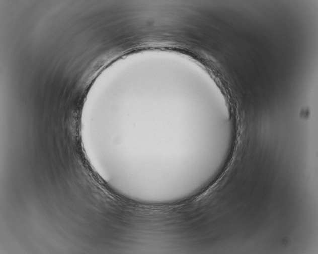 X0000115071361200912081138
