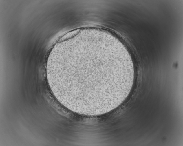 X0000115071363200912081138