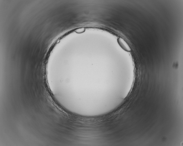 X0000115071364200912081138