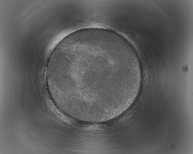 X0000115071367200912081138