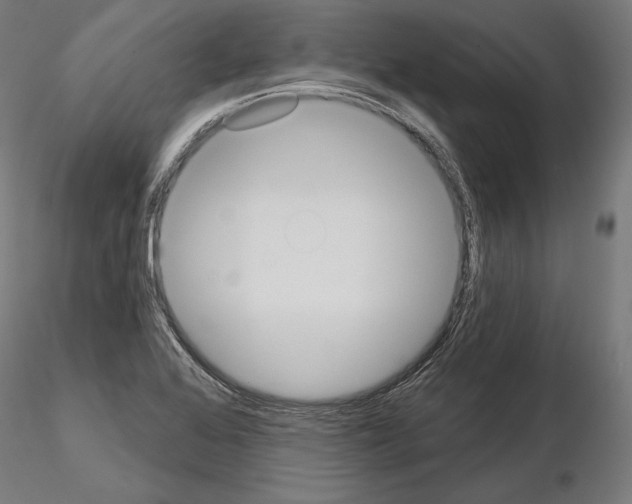 X0000115071368200912081138