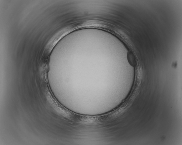 X0000115071369200912081138