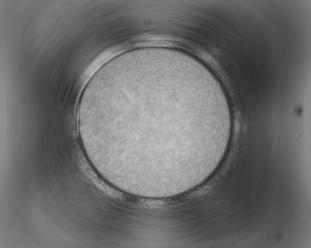 X0000115071370200912081138