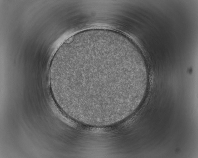 X0000115071371200912081138