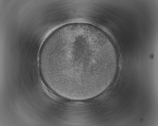 X0000115071372200912081138