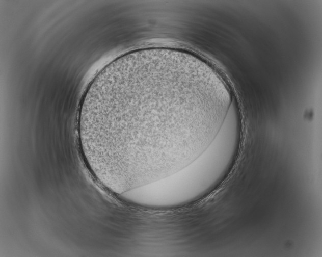 X0000115071373200912081138
