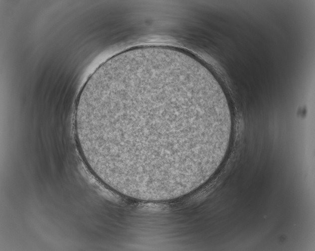 X0000115071374200912081138