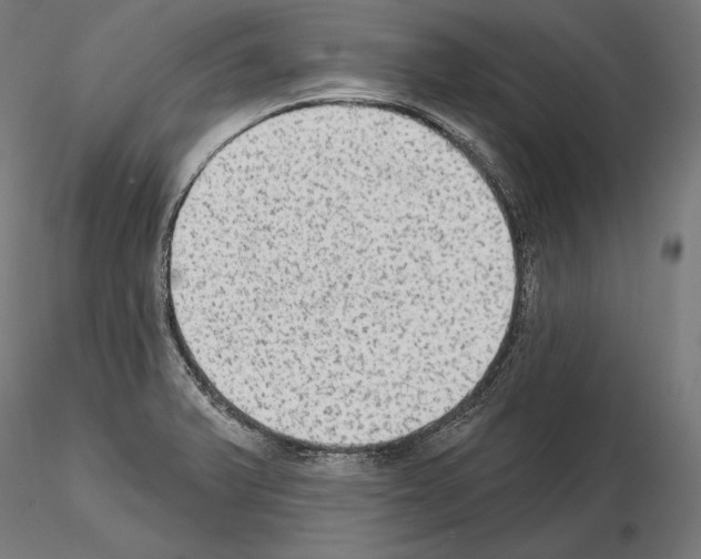 X0000115071375200912081138