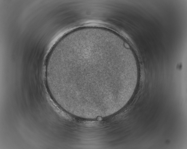 X0000115071376200912081138