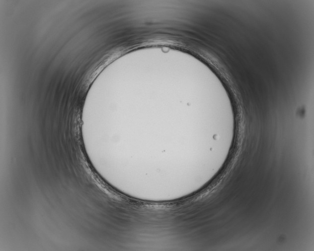 X0000115071377200912081138