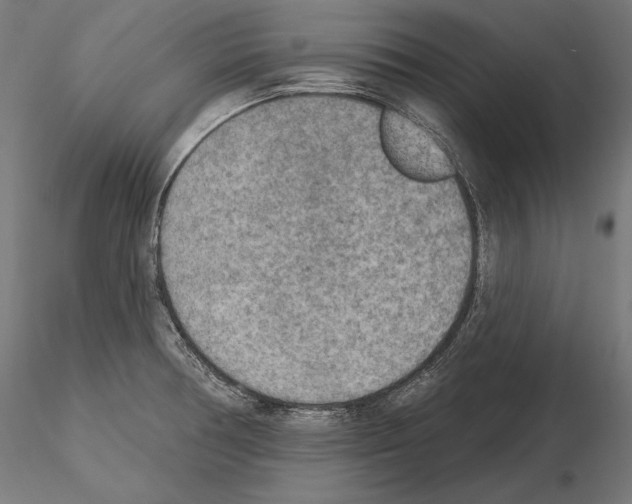 X0000115071378200912081138
