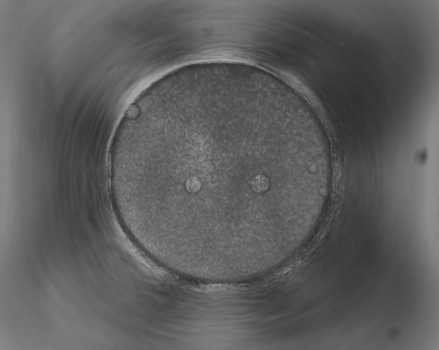 X0000115071380200912081138