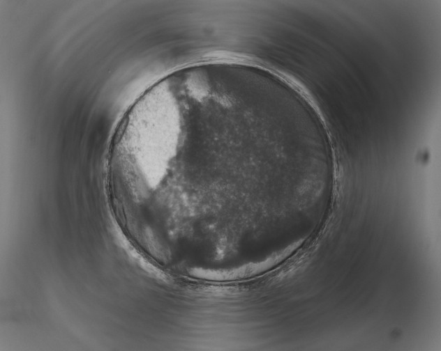 X0000115071381200912081138
